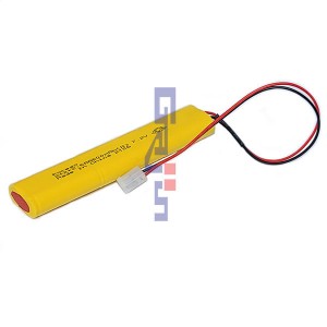 SKC6N600AA-3F(7.2V 600mAh)C5239RB