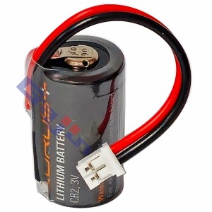 CR2(3V 900mAh)C20010HS-02RB