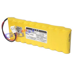 SKC10N600AA-R(12V 600mAh)YH396RB