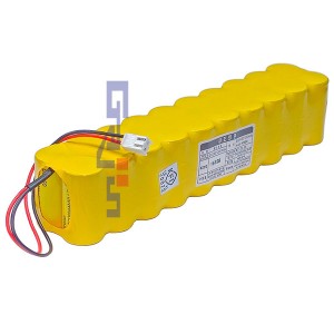 SKC20N1300SC-2R(24V 1300mAh)C396RB